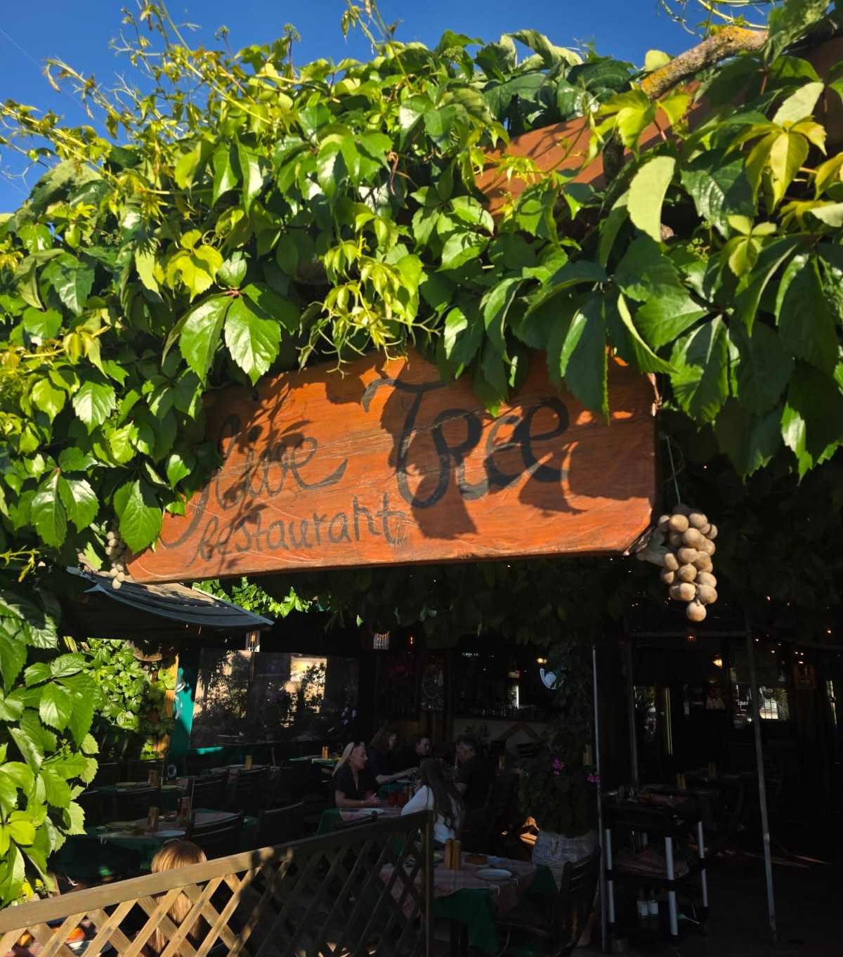 Στο Olive Tree Restaurant της Ζακύνθου η ελληνική φιλοξενία έχει γεύση καλοκαιριού!