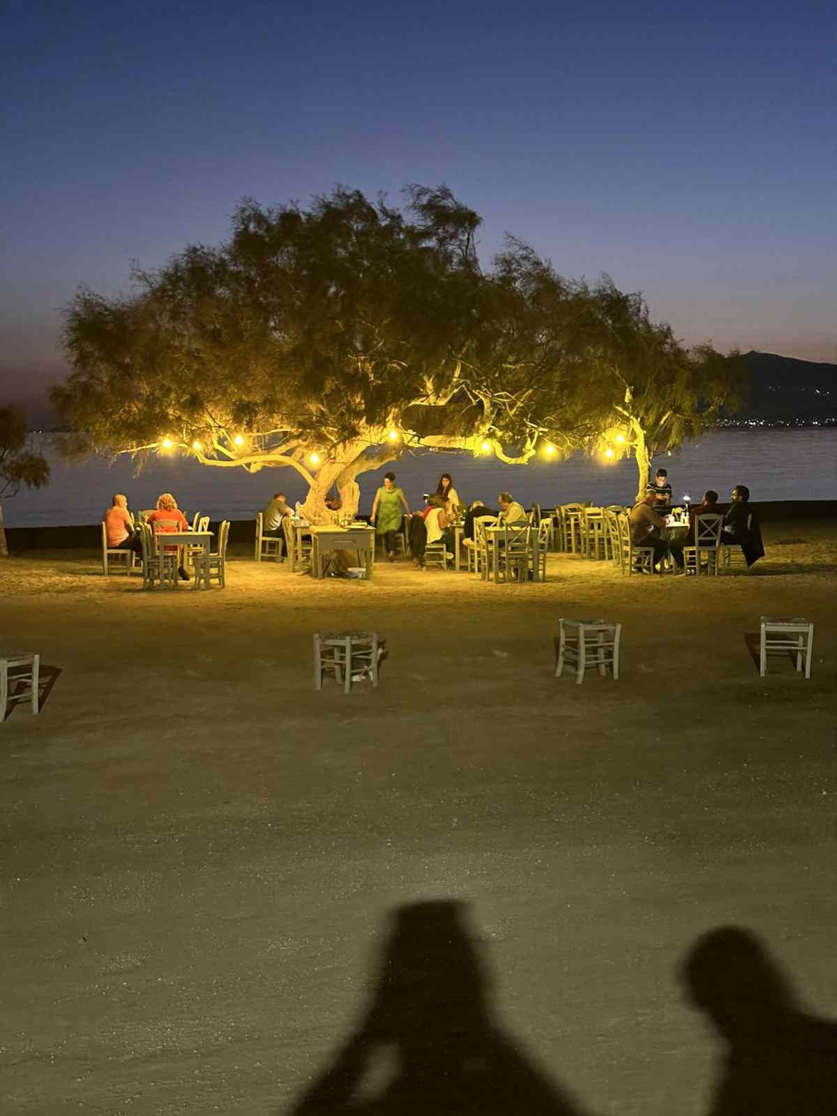Paradiso ταβέρνα