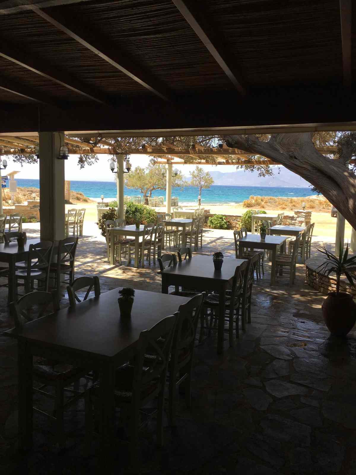 Paradiso ταβέρνα