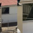 Περιστέρι