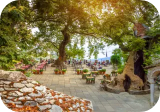 Πήλιο