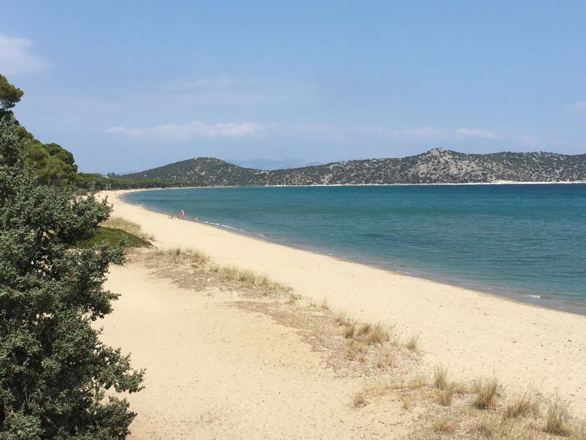 Σχοινιάς Αθήνα