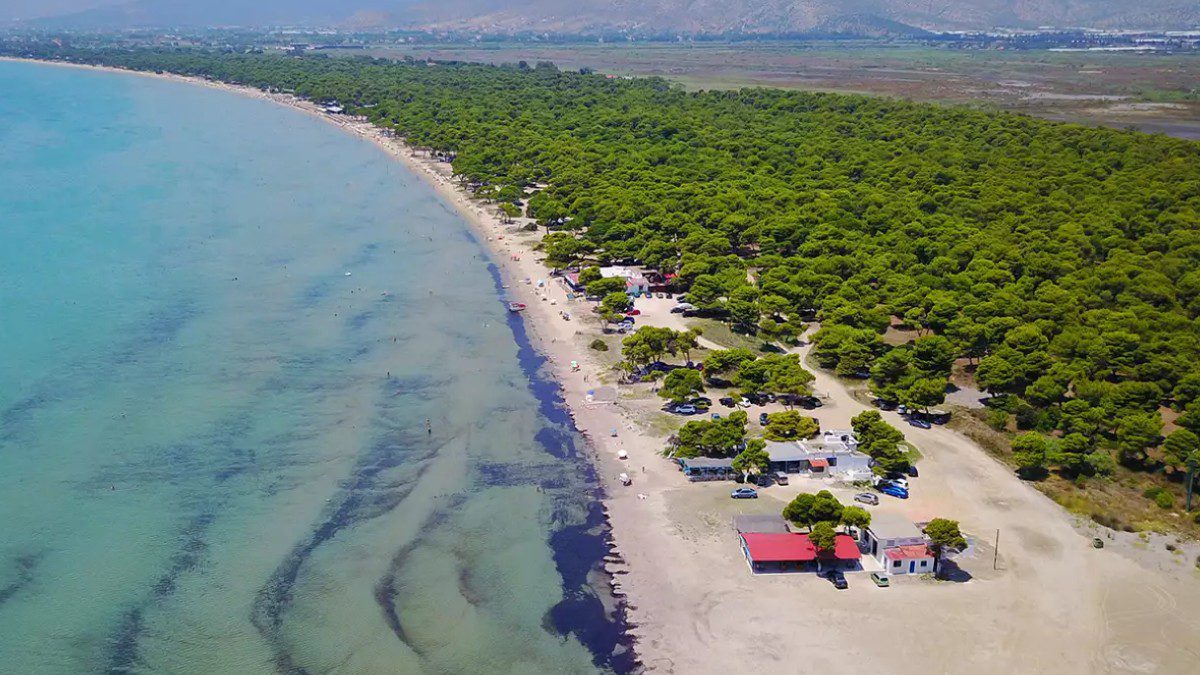 Αθήνα Σχοινιάς