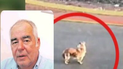 Γαστούνη