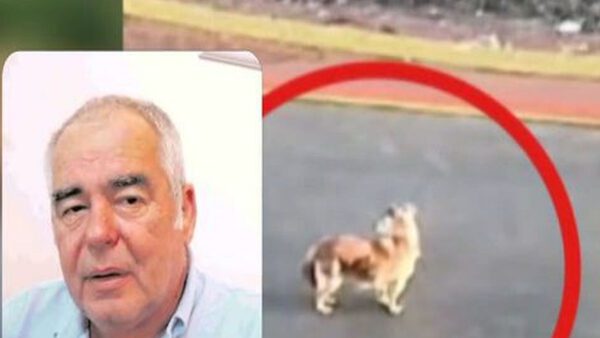 Γαστούνη