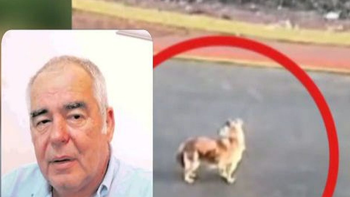 Γαστούνη
