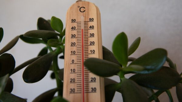 Καιρός καύσωνας