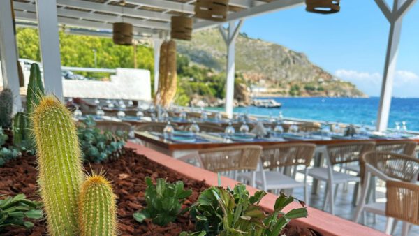 paradisos all day bar restaurant