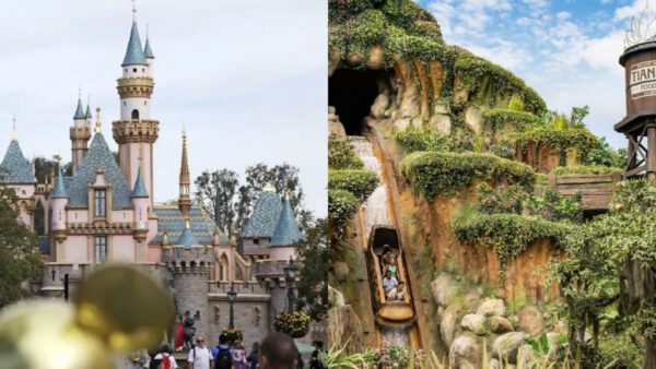 disneyland-ατύχημα