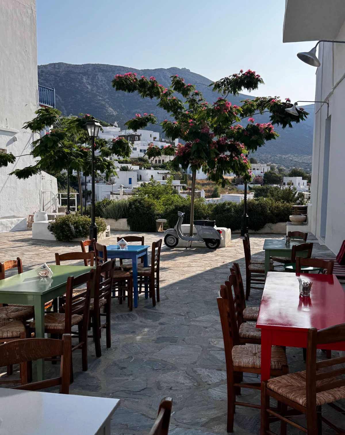 Δρακάκης: Το καφενείο-σύμβολο που κράτησε ζωντανή την αυθεντική γεύση της Σίφνου