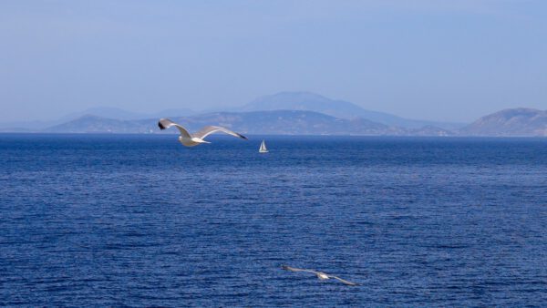 καιρός