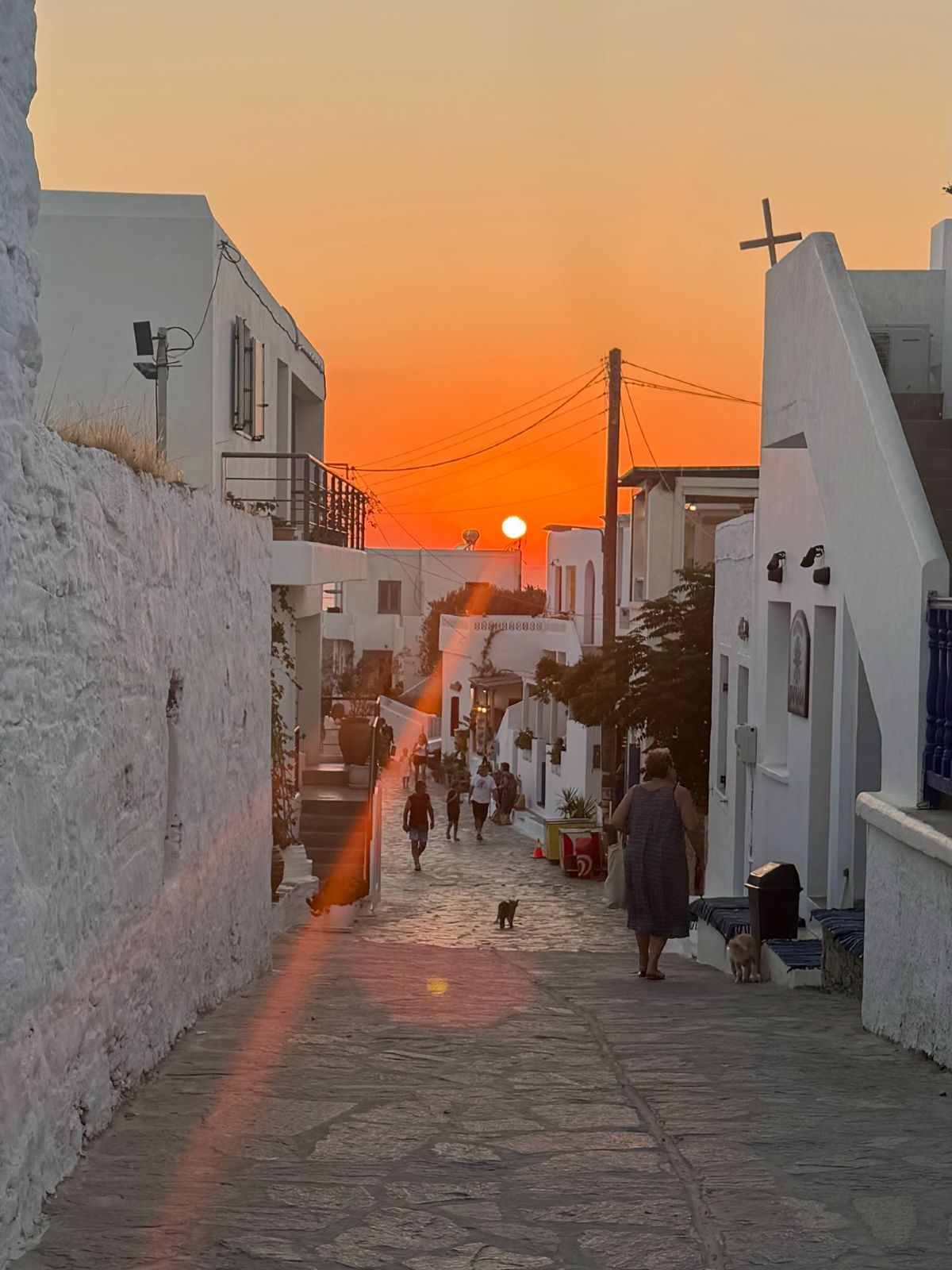 Δούκισσα Νομικού