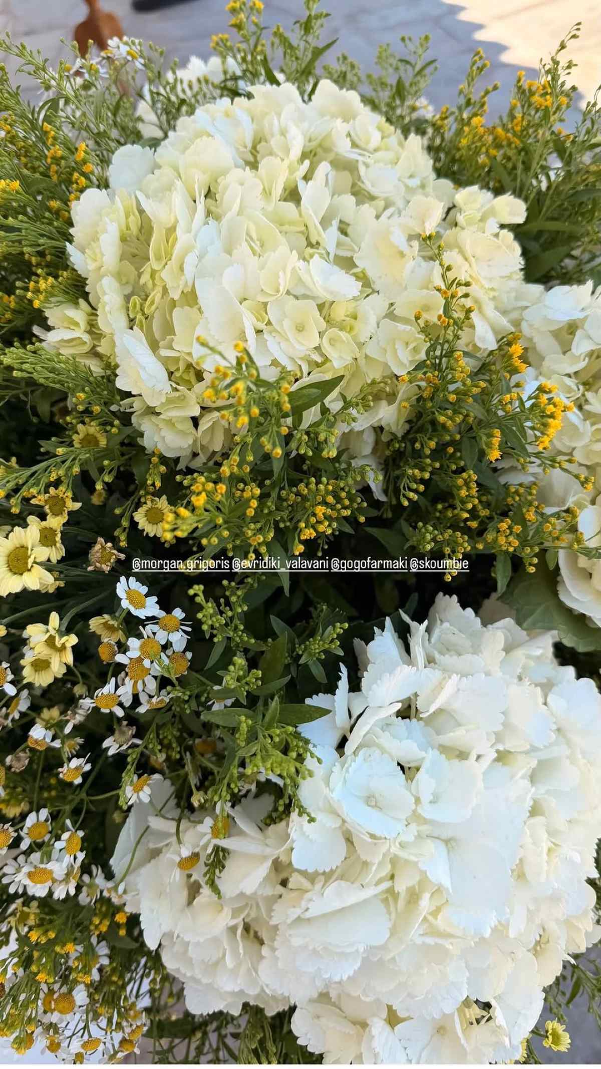 Ευρυδίκη Βαλαβάνη, Γρηγόρης Μόργκαν