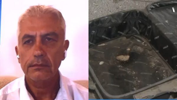 καλλιακμάνης κυψέλη