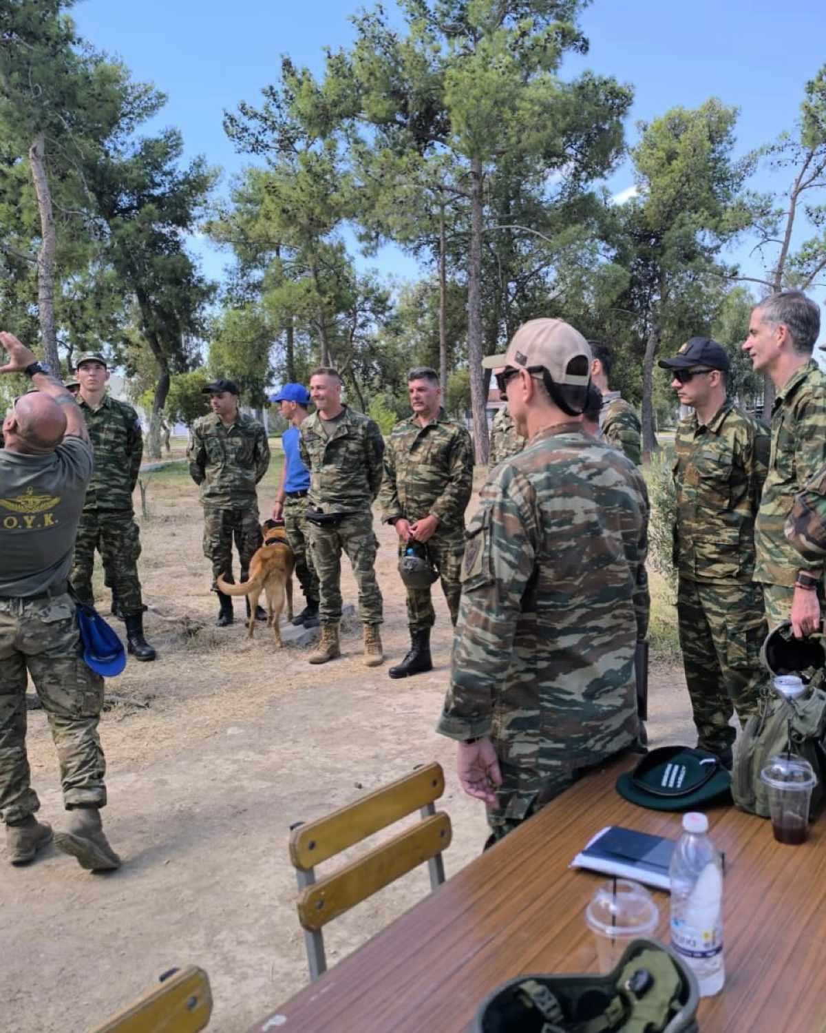 Κώστας Μπακογιάννης