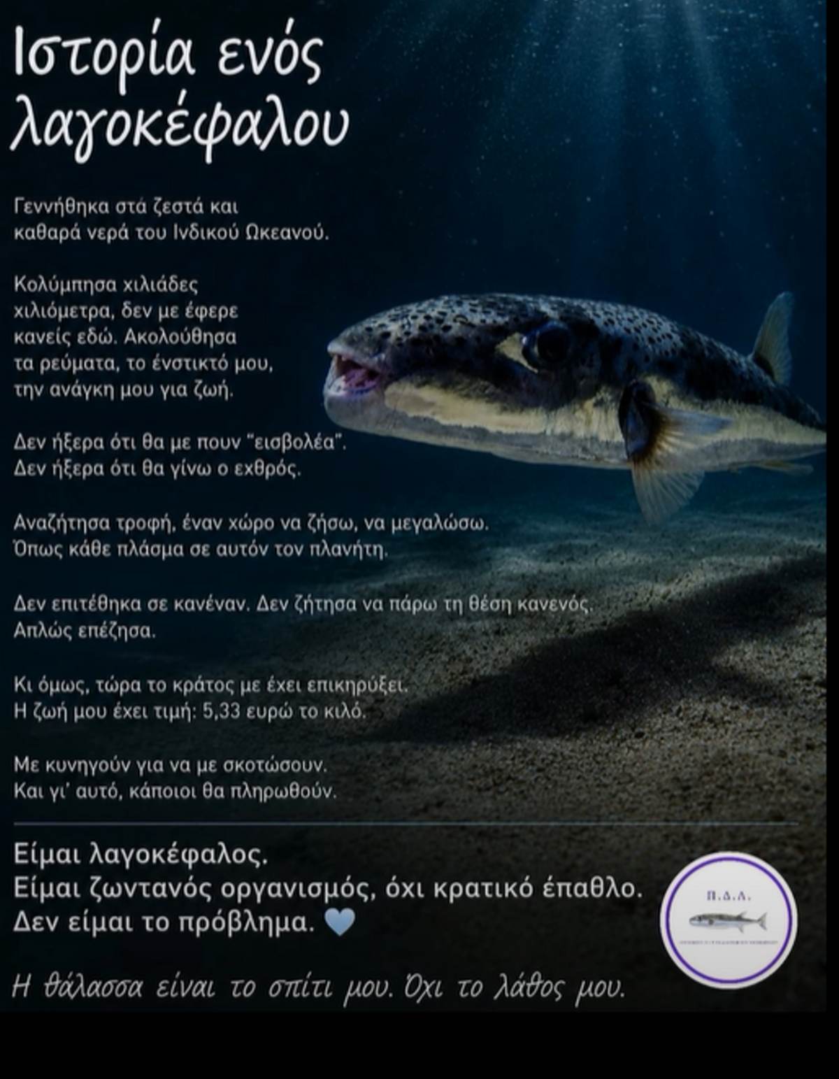 διάσωση για τον λαγοκέφαλο