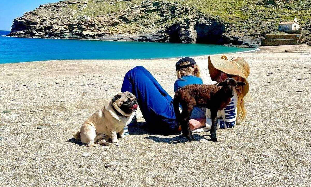 Μενεγάκη Άνδρος