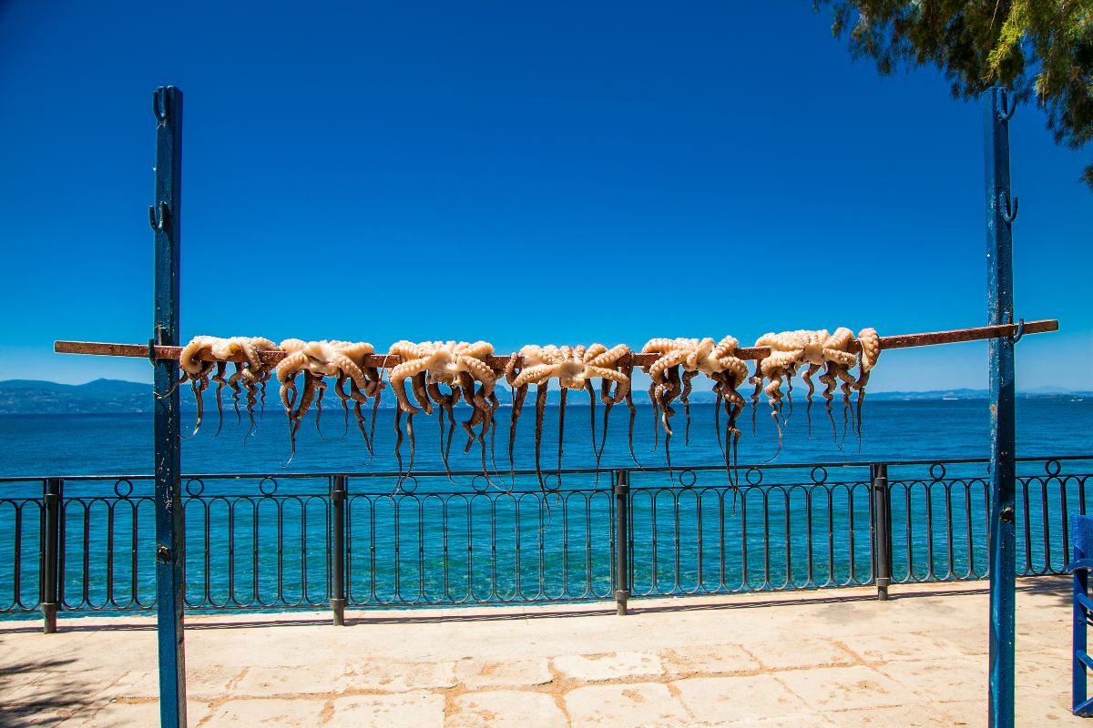 Κάρυστος