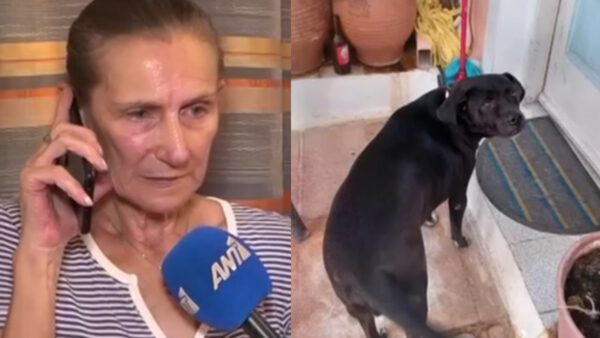 Πετράλωνα