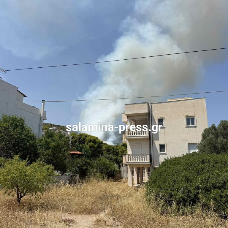 Μεγάλη φωτιά στη Σαλαμίνα: 90 πυροσβέστες και 4 εναέρια για να μην καούν σπίτια - Δείτε σε ποια περιοχή