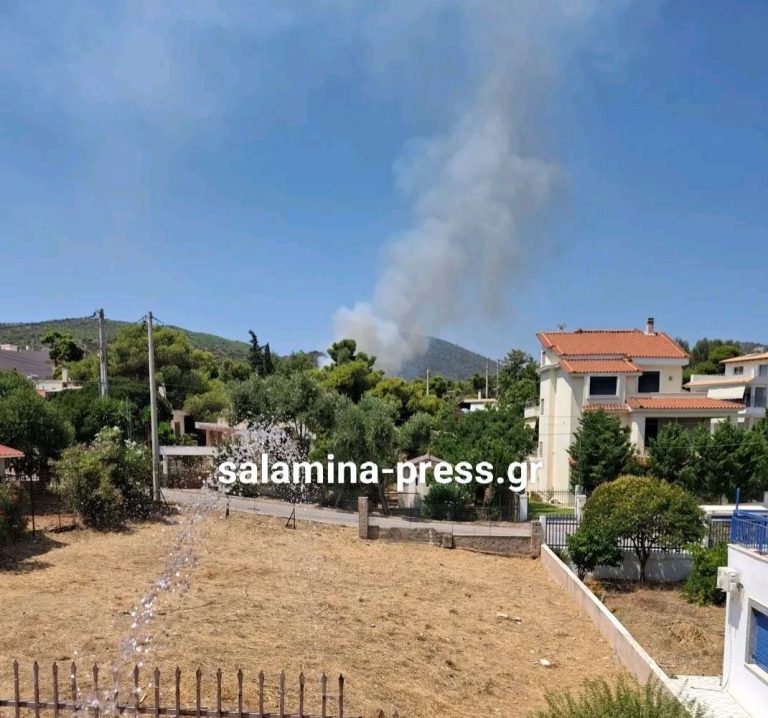 Μεγάλη φωτιά στη Σαλαμίνα: 90 πυροσβέστες και 4 εναέρια για να μην καούν σπίτια - Δείτε σε ποια περιοχή