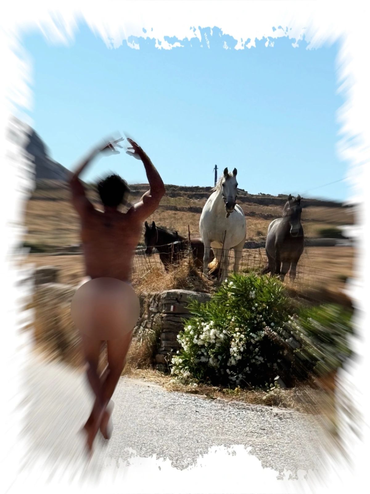 Τότσικας