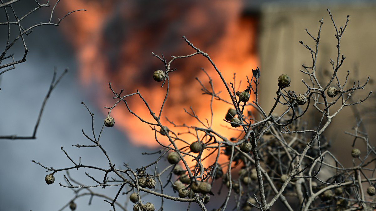 Φωτιά