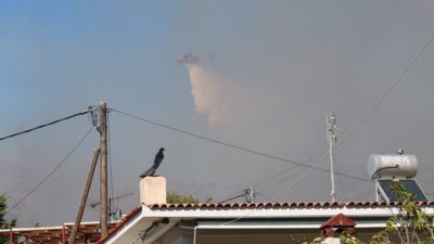 Φωτιά στη Σαλαμίνα