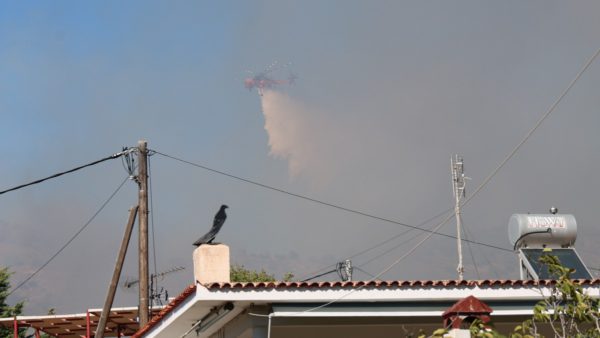 Φωτιά στη Σαλαμίνα