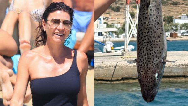 Μαρίνα Βερνίκου Λαγοκέφαλος