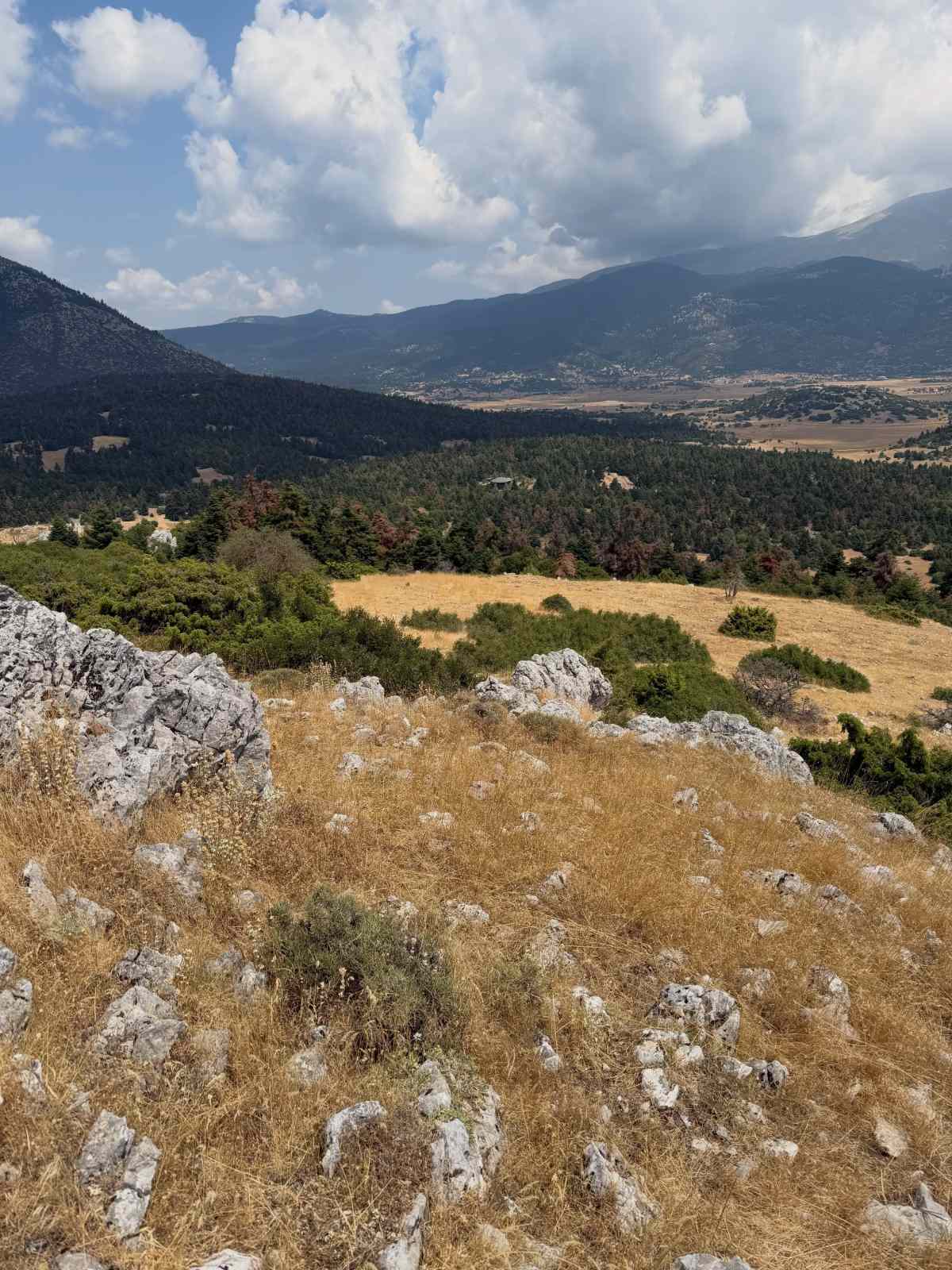 Μαρία Ελένη Λυκουρέζου