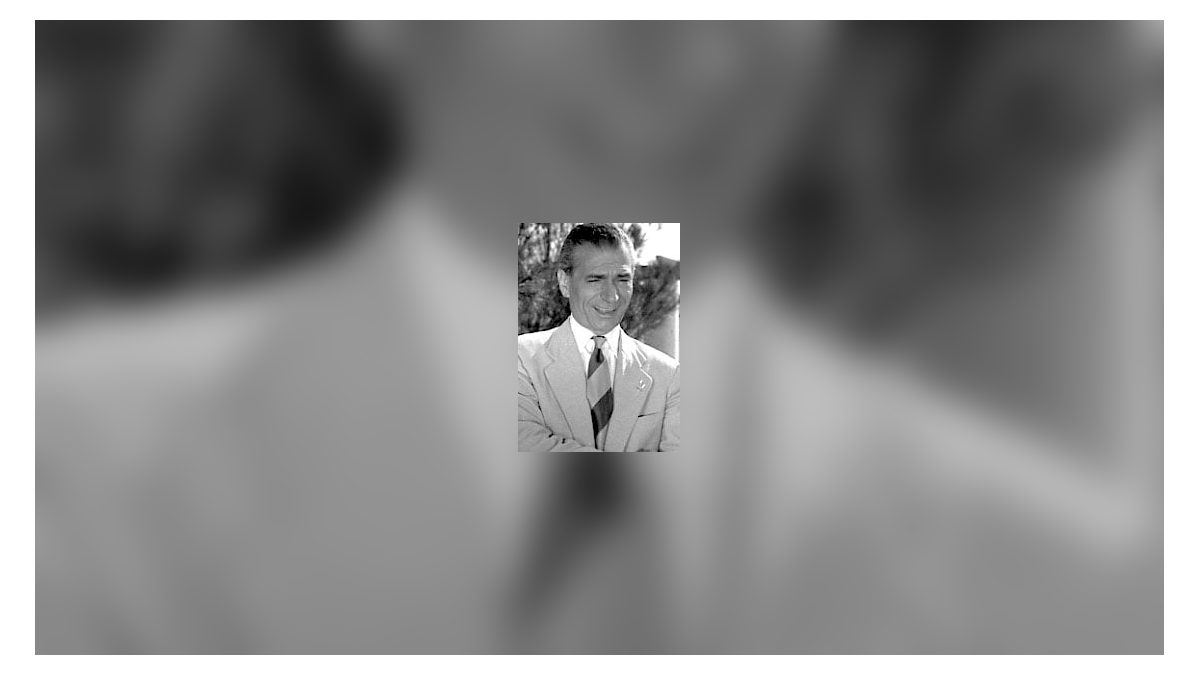 Κούλης Στολίγκας