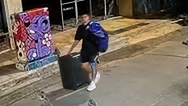 Κυψέλη