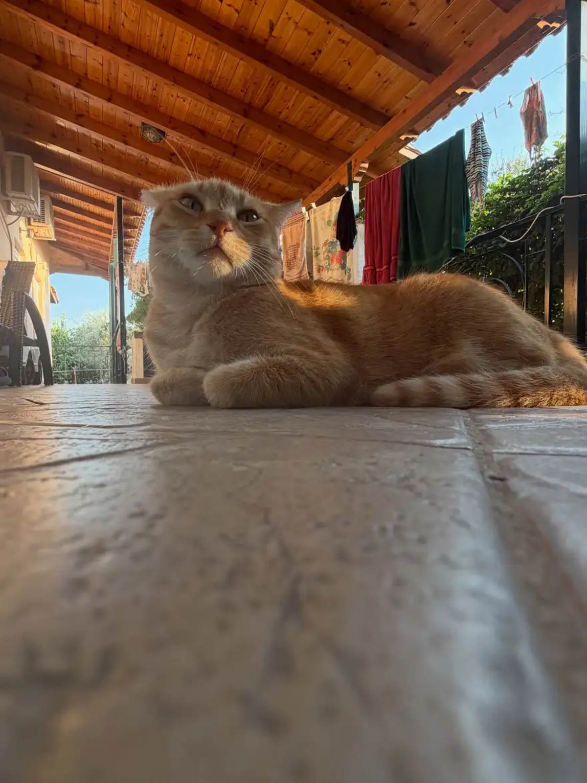 Σπίτι Φάνη Λαμπρόπουλου
