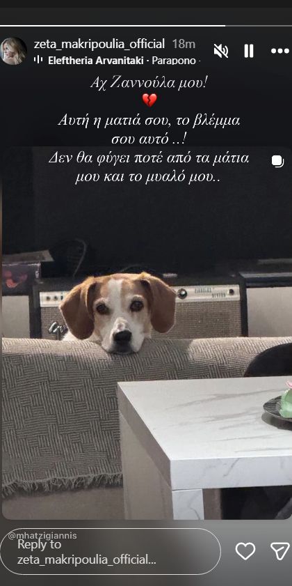 Μακρυπούλια-σκύλος