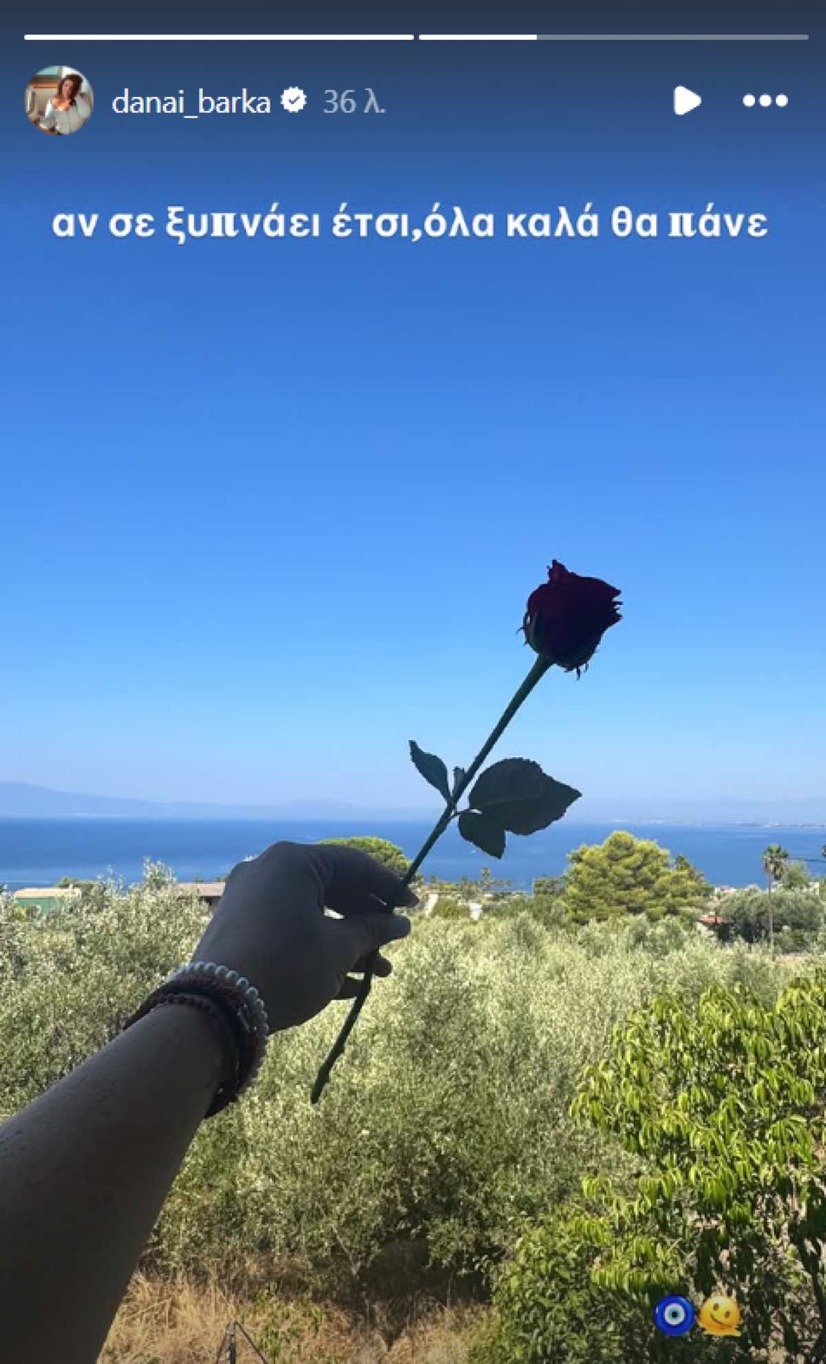 Ανάρτηση Δανάης Μπάρκα