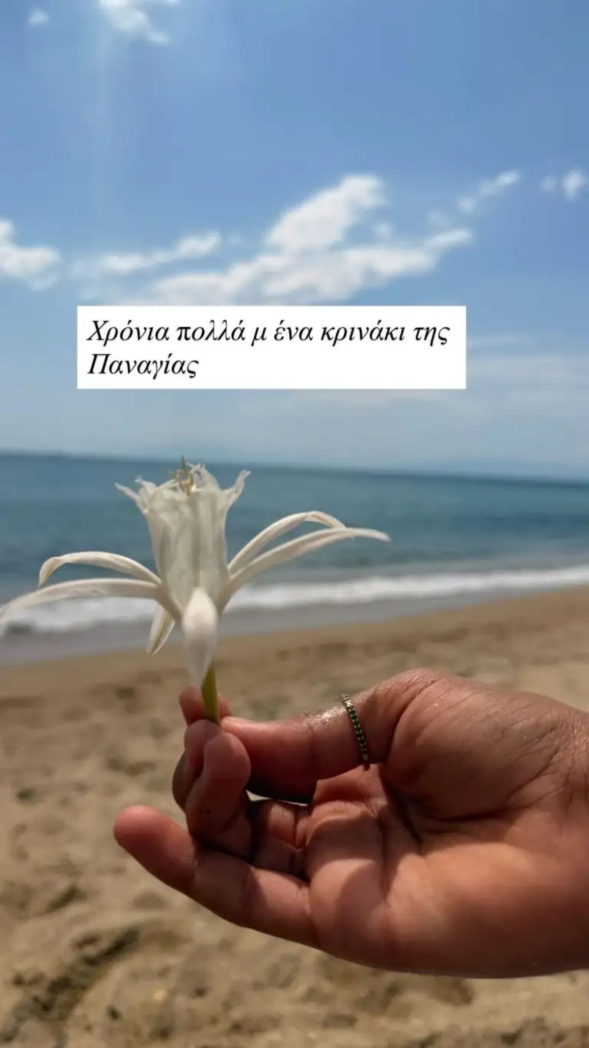 Η φωτογραφία της Νάνσυς Ζαμπέτογλου