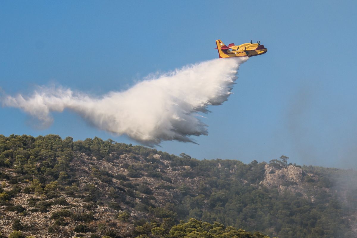 Φωτιά Σαλαμίνα: Τα ουρλιαχτά των ηλικιωμένων λίγο πριν καούν ζωντανοί - Συντετριμμένη η κόρη τους, η στιγμή που έφτασε στο σημείο (Φωτογραφίες και Βίντεο)