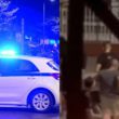Πυροβολισμοί στα Πατήσια