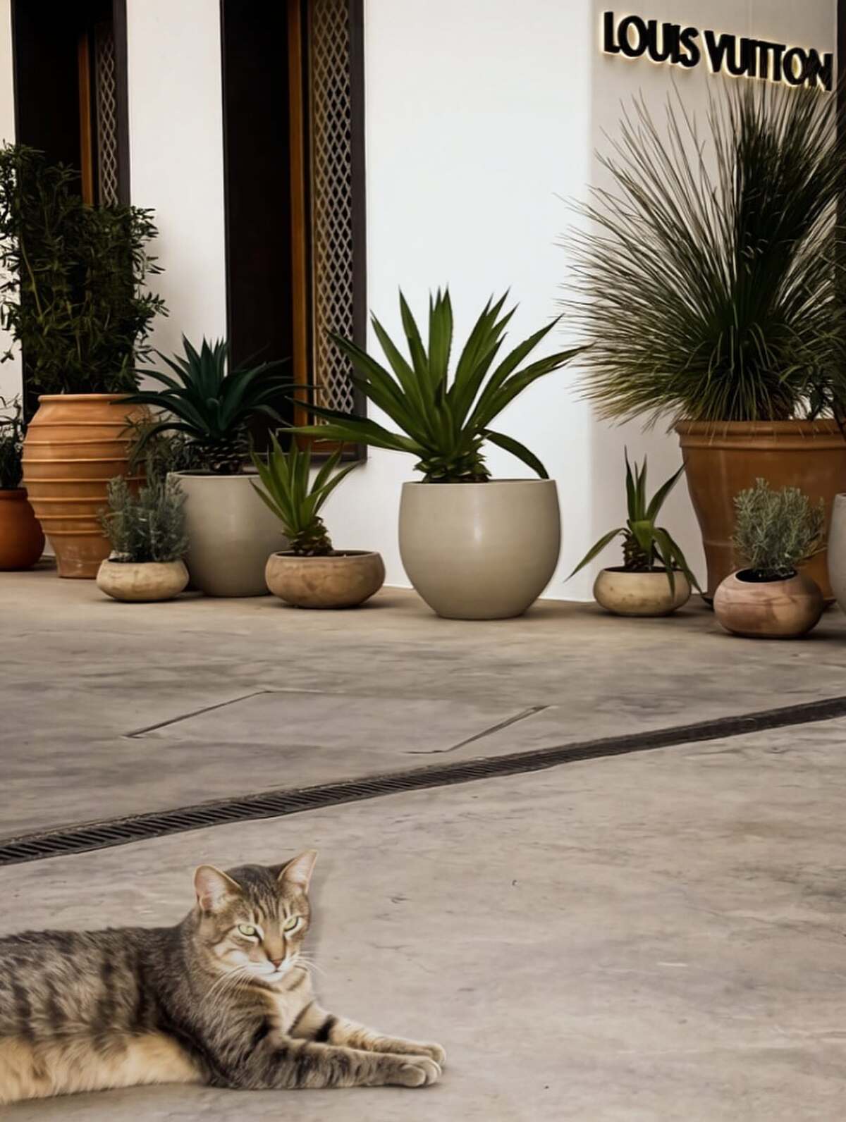 Βικτώρια Δέλλα: Η νέα εμφάνισή της ξυπνά δυνατές αναμνήσεις από τη Γωγώ Μαστροκώστα (φωτογραφίες)