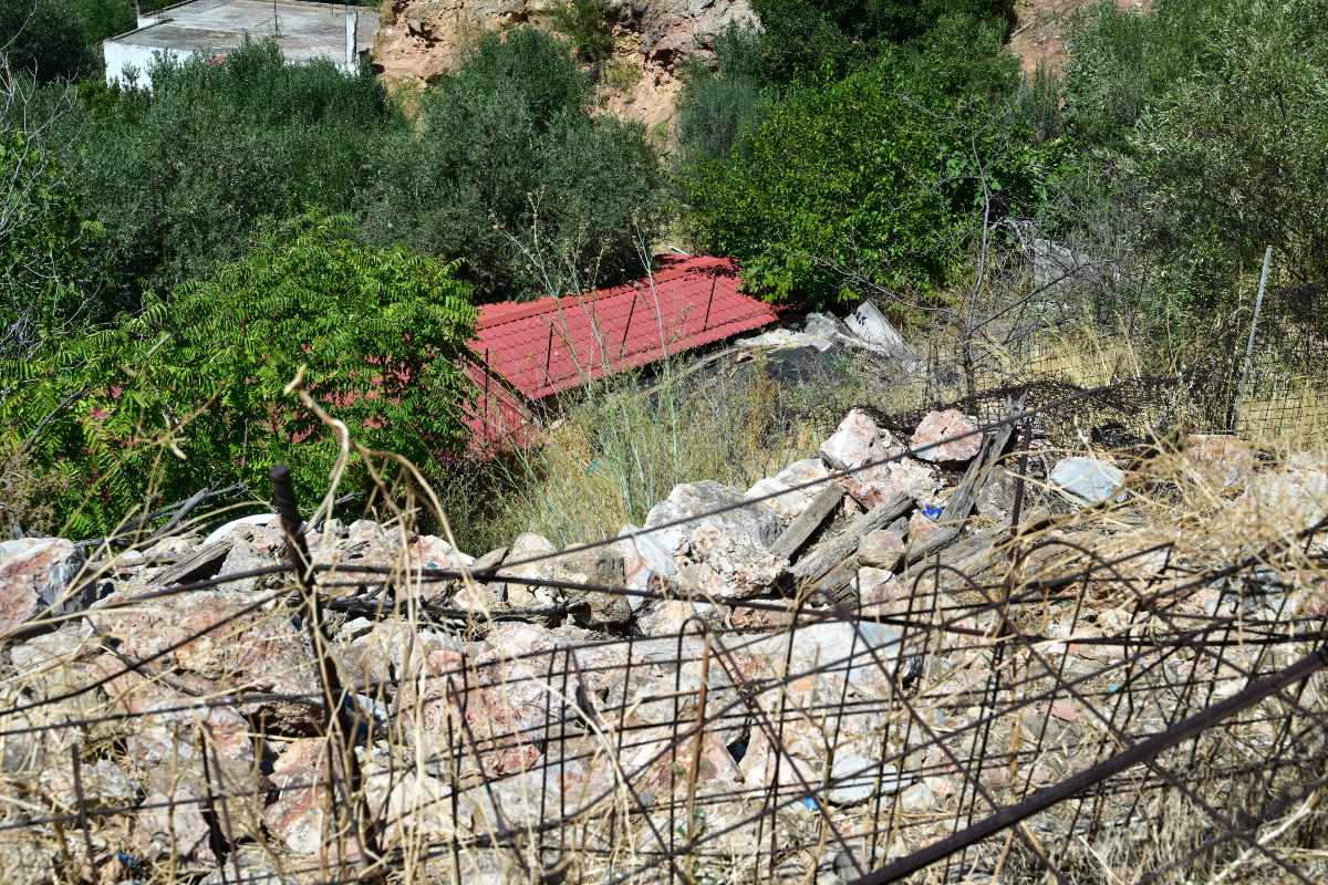 Κυψέλη εντοπισμός ανθρώπινων οστών