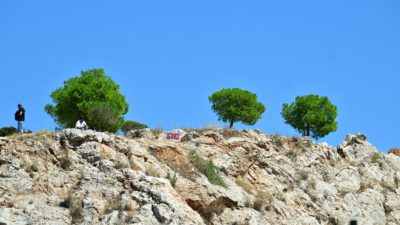 Κυψέλη εντοπισμός ανθρώπινων οστών
