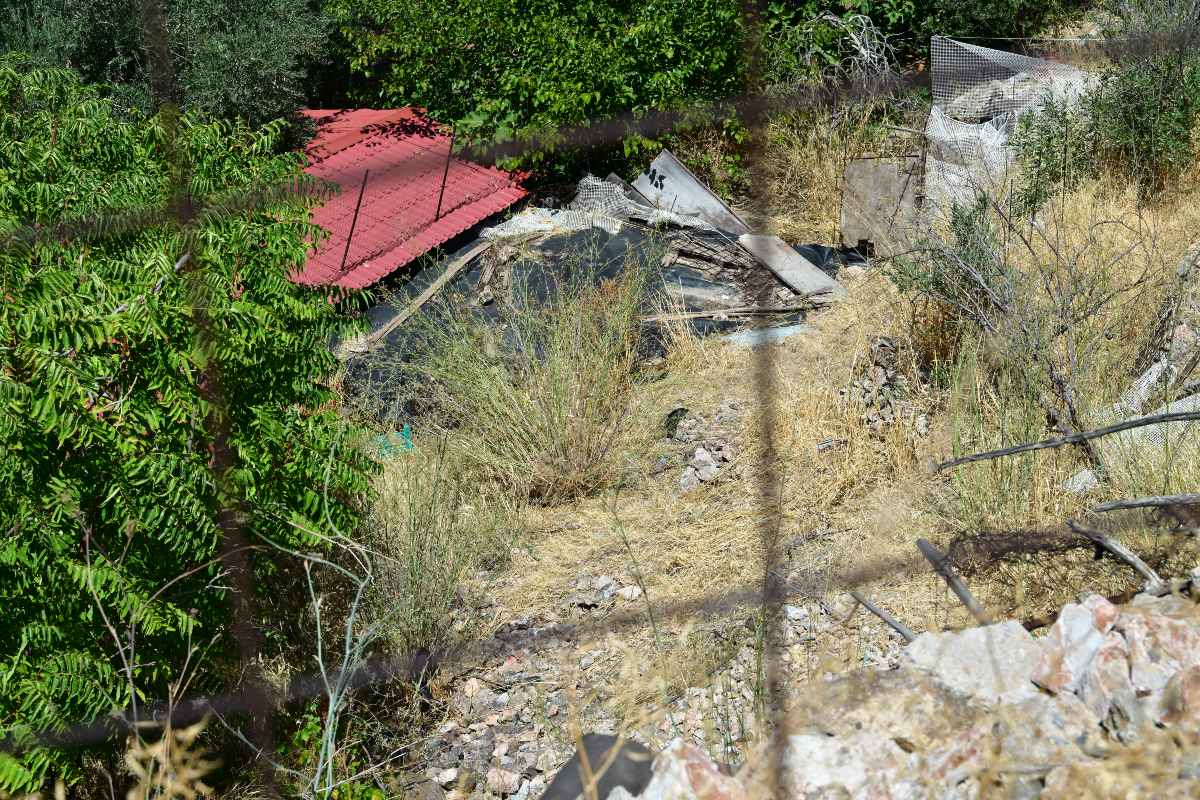 Κυψέλη εντοπισμός ανθρώπινων οστών